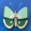 Fern Striped Butterfly